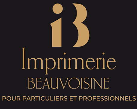 logo_picitur1
